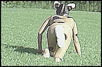 rabbit.jpg